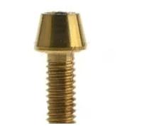 Tornillo con cabeza cónica de titanio, tornillo con cabeza hexagonal M5 M6 * 10/12/15/20/25/30, llave Allen interior, tornillo de cabeza cónica for tija de sillín, 1 ud.(Gloden,M6X16 1pc)