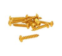 Tornillo de 12 Unidades Verkleidung Oro - 6 x 30
