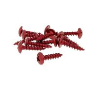 Tornillo de 12 Unidades Verkleidung Rojo - 5 x 20