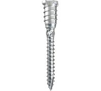 Tornillo de ajuste MFI TOP-STAR vz 6,0/10X80 VPE: 100