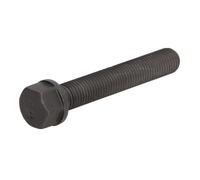 Tornillo de biela BF 20060551038
