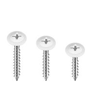 Tornillo de cabeza de celosía roscada for chapa metálica blanca, rosca rápida, for gabinetes de acero al carbono