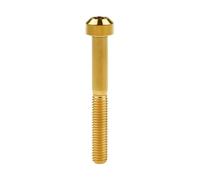 Tornillo de Cabeza Torx de Titanio M5x30, 35, 40, 45, 50, 55 y 60 mm para Motor de Bicicleta