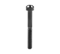 Tornillo de Cabeza Torx de Titanio M5x30, 35, 40, 45, 50, 55 y 60 mm para Motor de Bicicleta