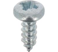 Tornillo de chapa de acero inoxidable A4 cilíndrico abombado Pozidrive, 3,5 mm x 10 mm, DIN 7981, zinc blanco, juego de 60