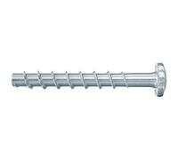 Fischer UltraCut FBS II - Tornillo de cabeza alomada (6 x 40/5, 100 unidades)