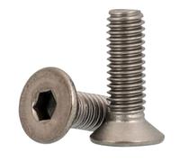 Tornillo de titanio DIN7991 m2 m2.5 m3 m4 m5 m6 m8 m10 TA2 GR2, tornillo hexagonal plano avellanado de titanio, 2 a 10 piezas (color: Titanium screw, tamaño: 4MM_M2.5 10 piezas)