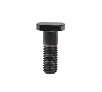 Tornillo de Titanio M8 x 23 mm para piñón de Motocicleta, Titanio, Talla única