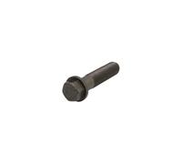 Tornillo de volante motor FEBI BILSTEIN 06076