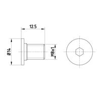 Tornillo, disco de freno TEXTAR TPM0002