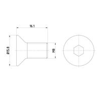 Tornillo, disco de freno TEXTAR TPM0006