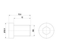 Tornillo, disco de freno TEXTAR TPM0009