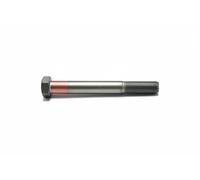 Tornillo hexagonal 10.9 54036 AUGER