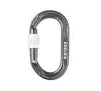 Tornillo Kiwi Antracita