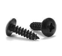 Tornillo para madera #10 x 5/8 pulgadas, 100 piezas de cabeza de braguero Phillips 18-8 (304), tornillos autorroscantes rápidos de acero inoxidable, óxido negro, por SG TZH