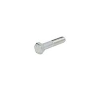 Tornillo S-TR M12X1.75/60-1