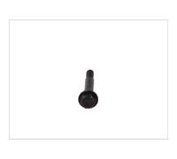 Tornillo, sistema de escape BOSAL 258-794
