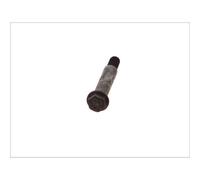 Tornillo, sistema de escape BOSAL 258-895