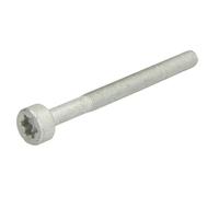 Tornillo, soporte inyector ENGITECH ENT250578