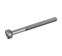 Tornillo, soporte inyector FEBI BILSTEIN 172930