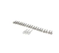 Tornillo, tapa de culata REINZ 15-39647-01