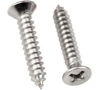 Tornillos autorroscantes Phillips de cabeza plana, Tornillos de rosca con cabeza avellanada cruzada de acero inoxidable 304-M3.9 * 30 200(M3.9 * 19 200)