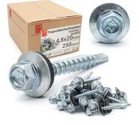 Tornillos autotaladrantes 4,8 x 20 mm Plata galvanizado con arandela, 250 uds, tornillos para panel sandwich, chapas metálicas, tejado de metal y madera, tornillos autorroscantes con junta estanca