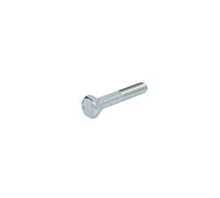 Tornillos de cabeza hexagonal galvanizados S-TR M10X1,5/60-1