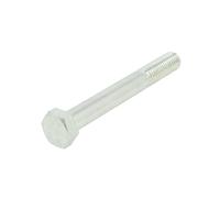 Tornillos de cabeza hexagonal galvanizados S-TR M12X1,75/100-1
