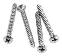 Tornillos de montaje del m stil del guardabarros - Cromados