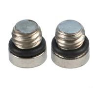 Tornillos de purga de acero inoxidable para frenos de guía de código SRAM - Juego de pinzas de depósito de líquido DOT - Kit de mantenimiento de bicicleta de montaña T10 Torx Head Silver 2 piezas