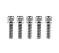 Tornillos de titanio M6 x 16/18/20/25/35 mm con cabeza hueca hexagonal y arandela de titanio for freno de bicicleta, paquete de 5(Titanium,M6x25mm)