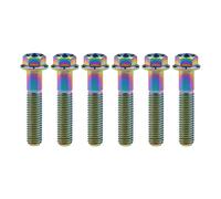 Tornillos de titanio M8x15 20 25 30 35 40 45 50 55 60 65 mm con brida pequeña, cabeza hexagonal for piezas de motocicleta, paso 1,25 mm, paquete de 6(Rainbow,M8x40mm)