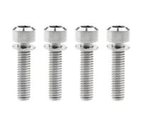 Tornillos hexagonales de titanio M6 x 25 mm con arandelas para eje de freno fijo (titanio normal)