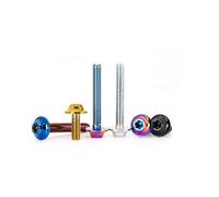 tornillos metálicos 2 uds 304 cabeza de platillo volador de acero inoxidable tornillo interno de flor de ciruelo M5(Black,2pcs M6x16)