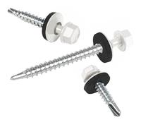 Tornillos para chapas trapezoidales PAROTEC, autorroscantes y autotaladrantes con arandela de sellado EPDM, cabeza hexagonal, 4,8 mm x 55 mm, RAL 9010 Blanco, 200 unidades