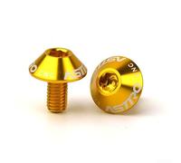 Tornillos para jaula de botella de bicicleta de montaña y carretera, 2 piezas M5 x 12 mm, aleación de aluminio 7075, pernos de repuesto ligeros para un montaje seguro (dorado)