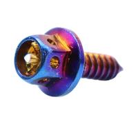 Tornillos para motocicletas - Tornillos autorroscantes para metal - de acero inoxidable M5 15 Titanium 304, tornillos hexagonales externos huecos modificados