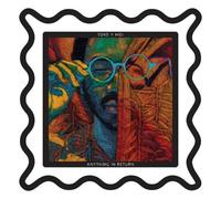 Toro Y Moi - Anything In Return