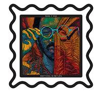 Toro Y Moi - Anything In Return