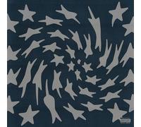 Toro Y Moi - Hole Erth [Vinilo]