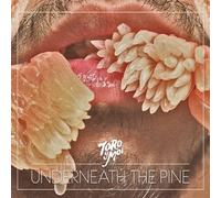 Toro Y Moi - Underneath The Pine