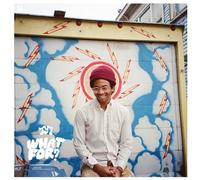 Toro Y Moi - What For?