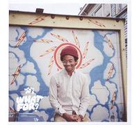 Toro Y Moi - What For