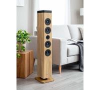 Torre de Sonido Thomson DS220 con Efectos de luz, CD/BT/AUX/USB/SD/Radio (Negro y Madera)