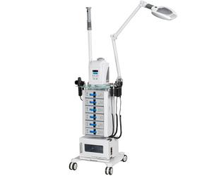 Torre multifuncional de estética: Equipada con carrito + Vaporizador + Lámpara lupa + Calentador de toallas