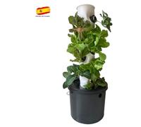 Torre Vertical hidropónica de 36 Agujeros, Sistema acuapónico de Cultivo, Kit aeropónico de jardín con Bomba de riego, Temporizador, macetas y Pastillas de Coco, para Uso Interior o Exterior