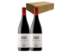 Torres Salmos - Ideal para Maridar con Carne y Comida Mediterránea - Pack 2 Botellas 75cl