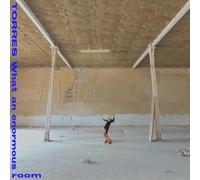 Torres - What An Enormous Room -Blue Jay & White Vinyl- [Vinilo]