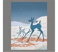 Tortoise & Bonnie Prince Billy - Brave & the Bold